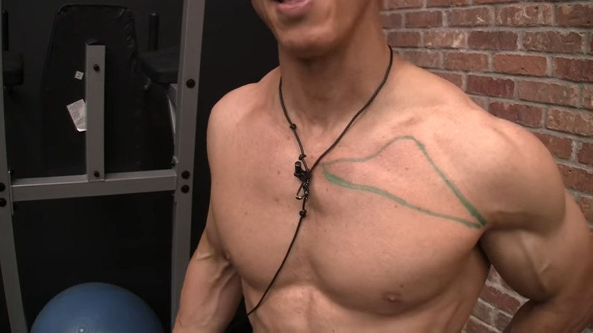 Chest Workouts