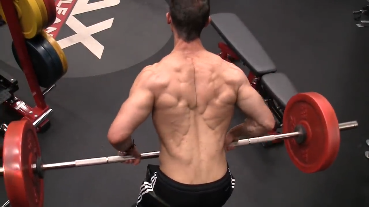barbell rows