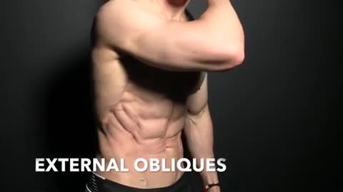 How To Get Six Pack Abs