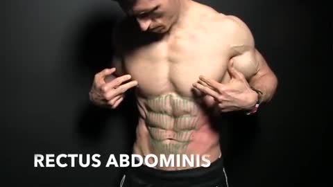 How To Get Six Pack Abs