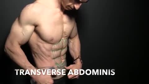 How To Get Six Pack Abs
