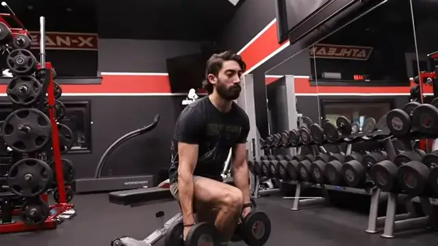 dumbbell bulgarian split squat