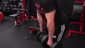 dumbbell romanian deadlift