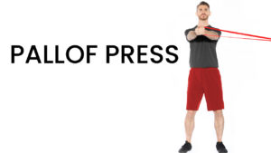 pallof press