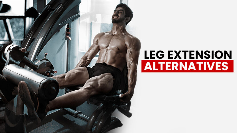 leg extension alternatives