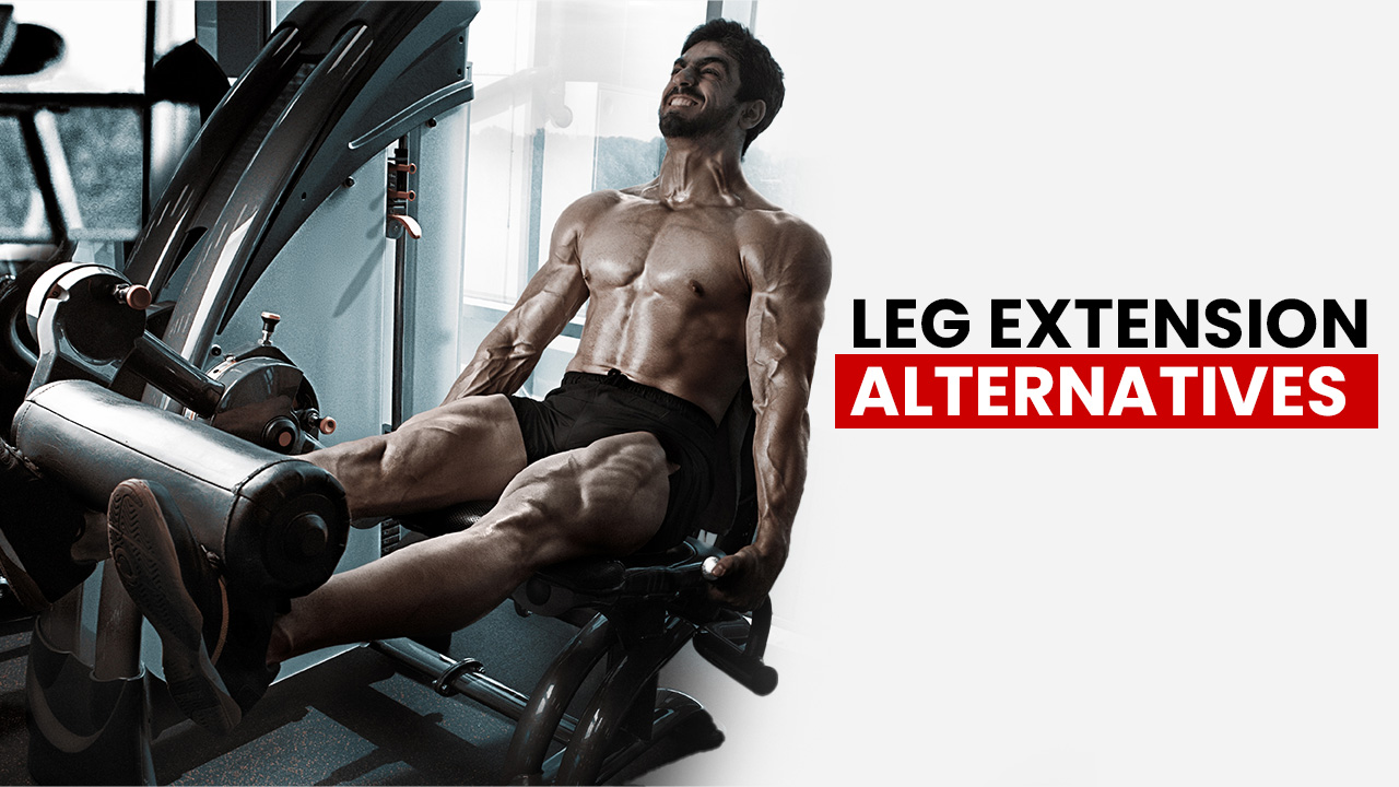 leg extension alternatives