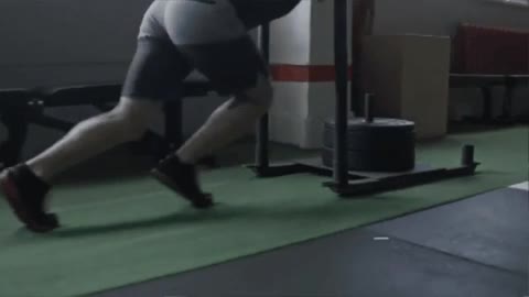 sled push-pull