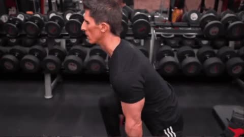 bulgarian split squat