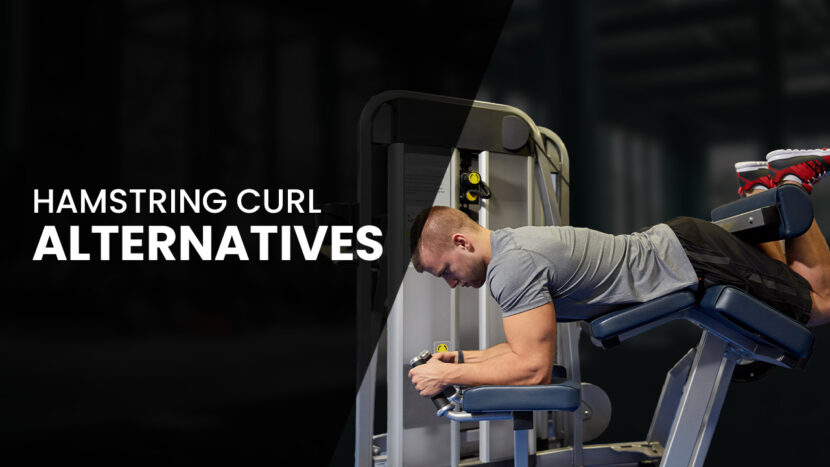 hamstring curl alternatives