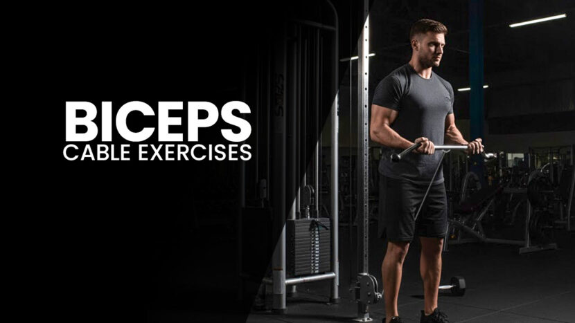 bicep cable exercises