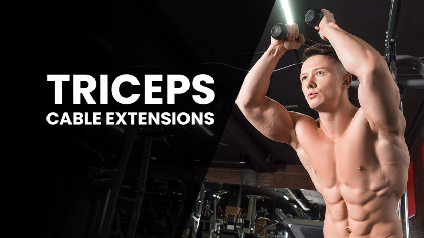 cable triceps extension