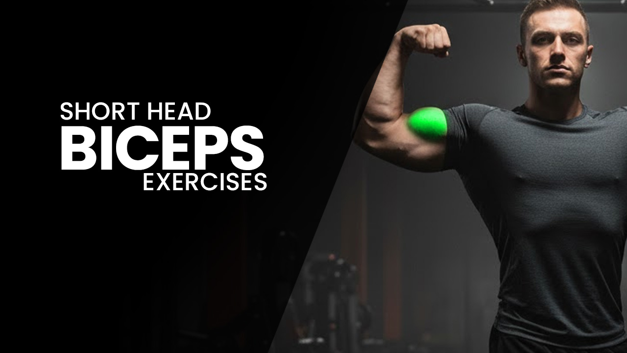 Short Head Bicep Exercises You’re Not Doing
