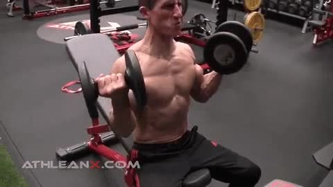 seated dumbbell curl