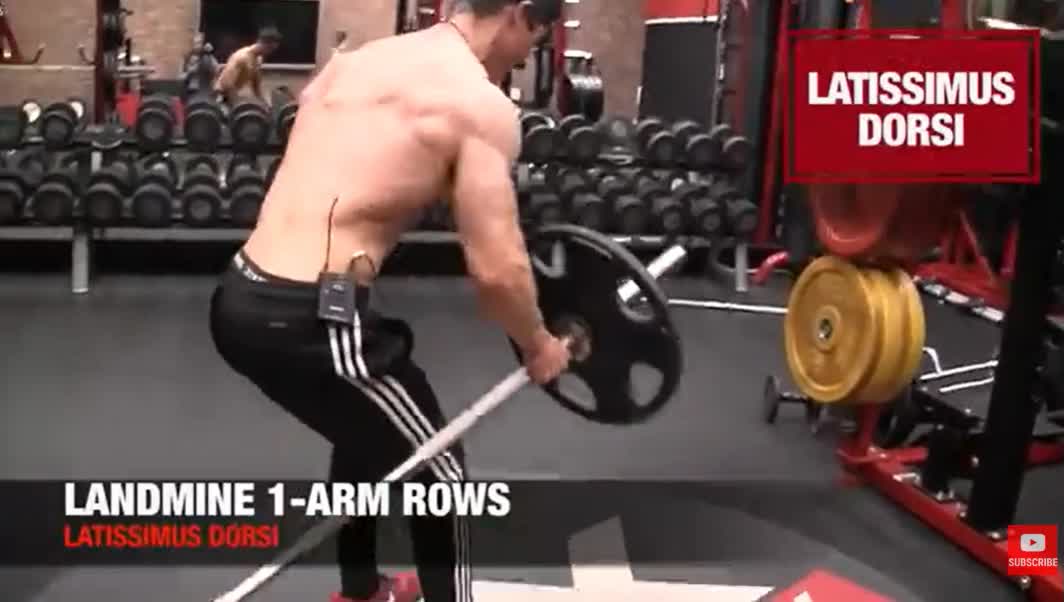 landmine one armed rows