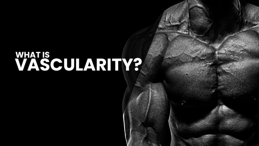 What Is Vascularity?
