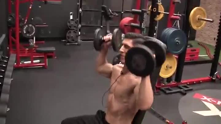 seated dumbbell press
