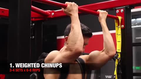 weighted chin ups
