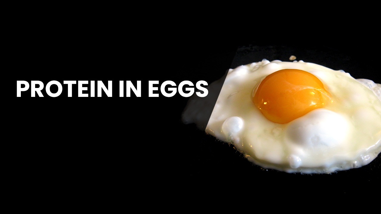 how much protein in eggs