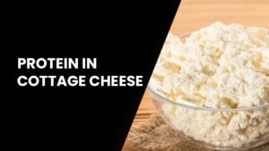 protein in cottage cheese