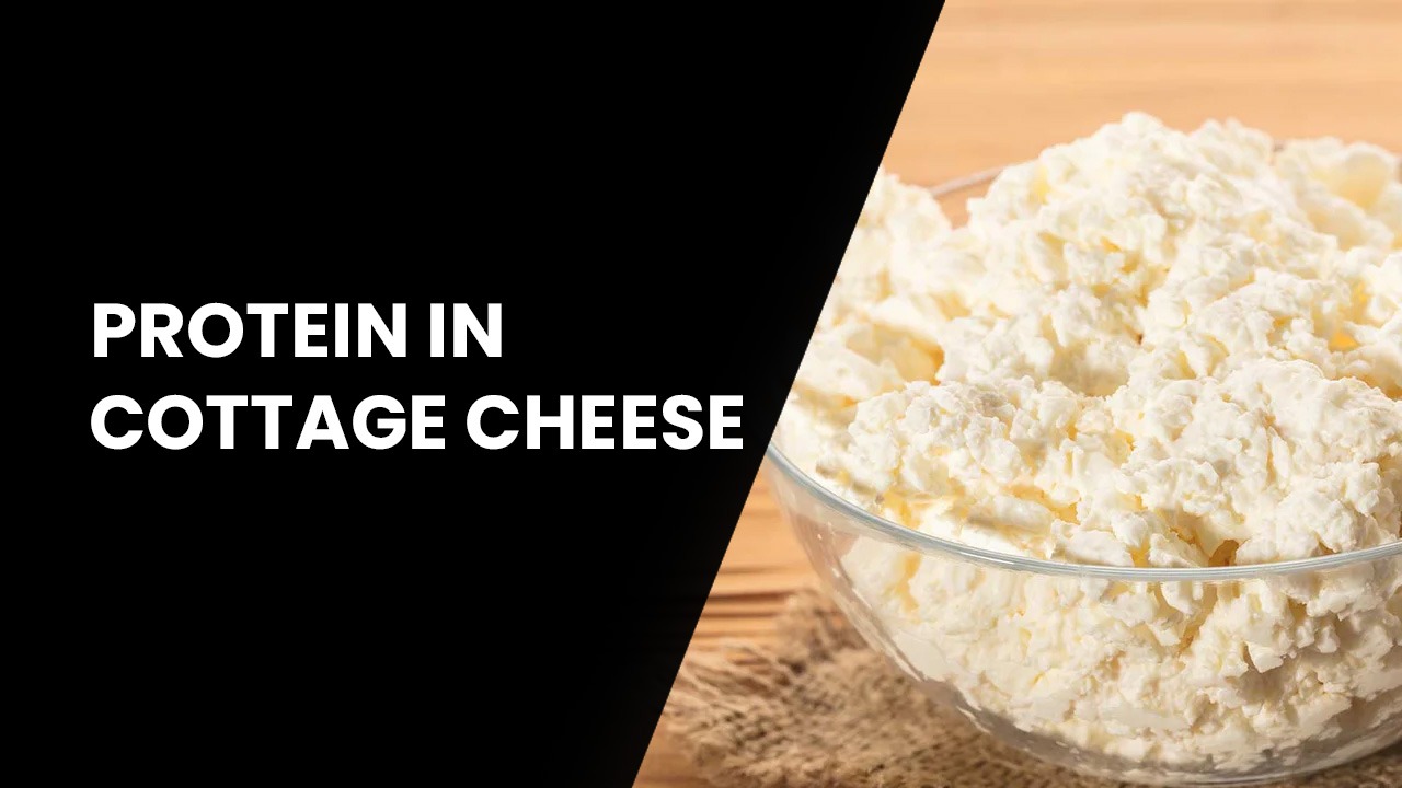 protein in cottage cheese