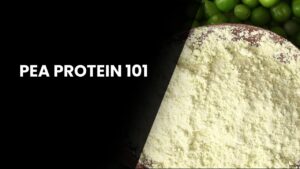 Pea Protein 101