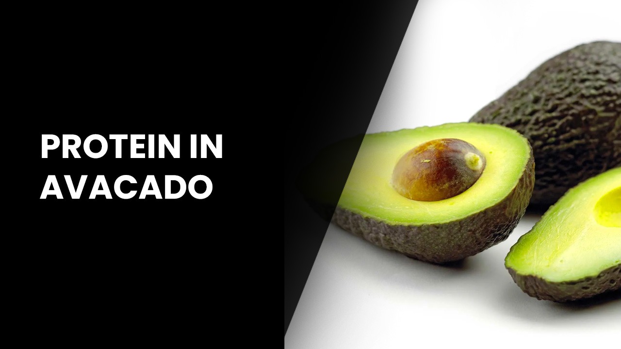 how much protein in avocado