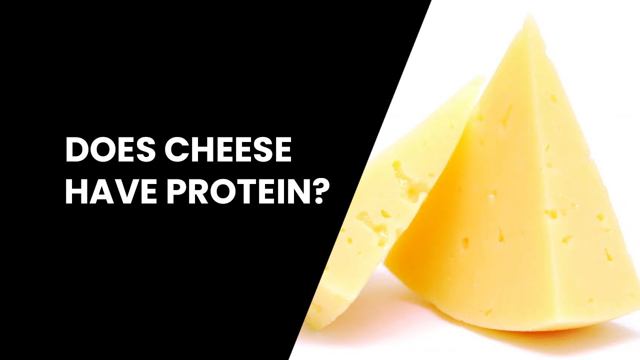 does cheese have protein