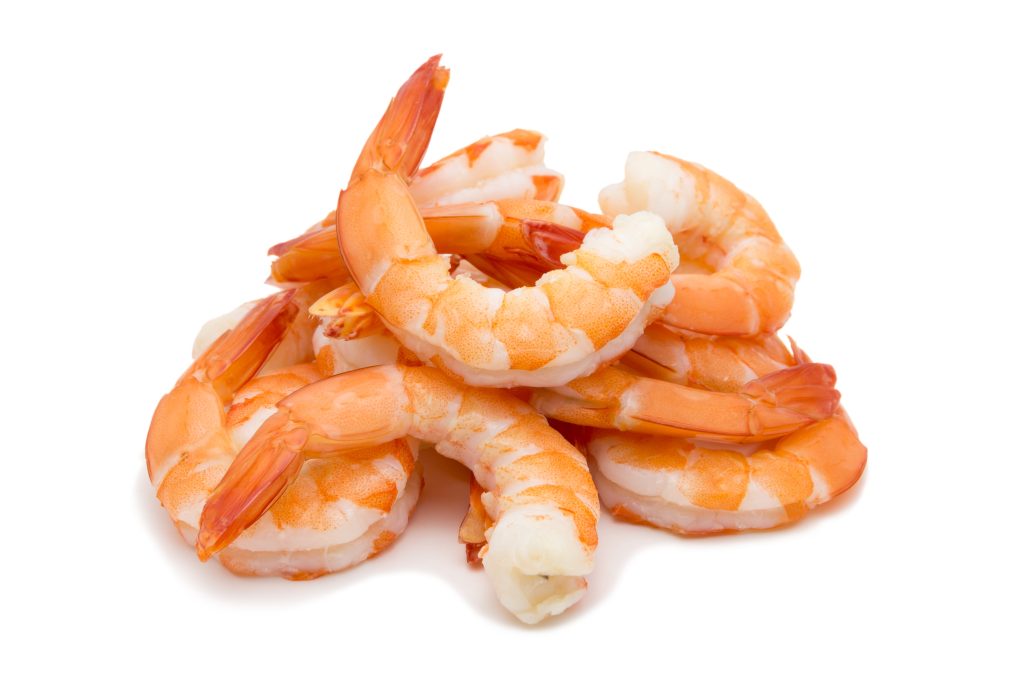 shrimp protein