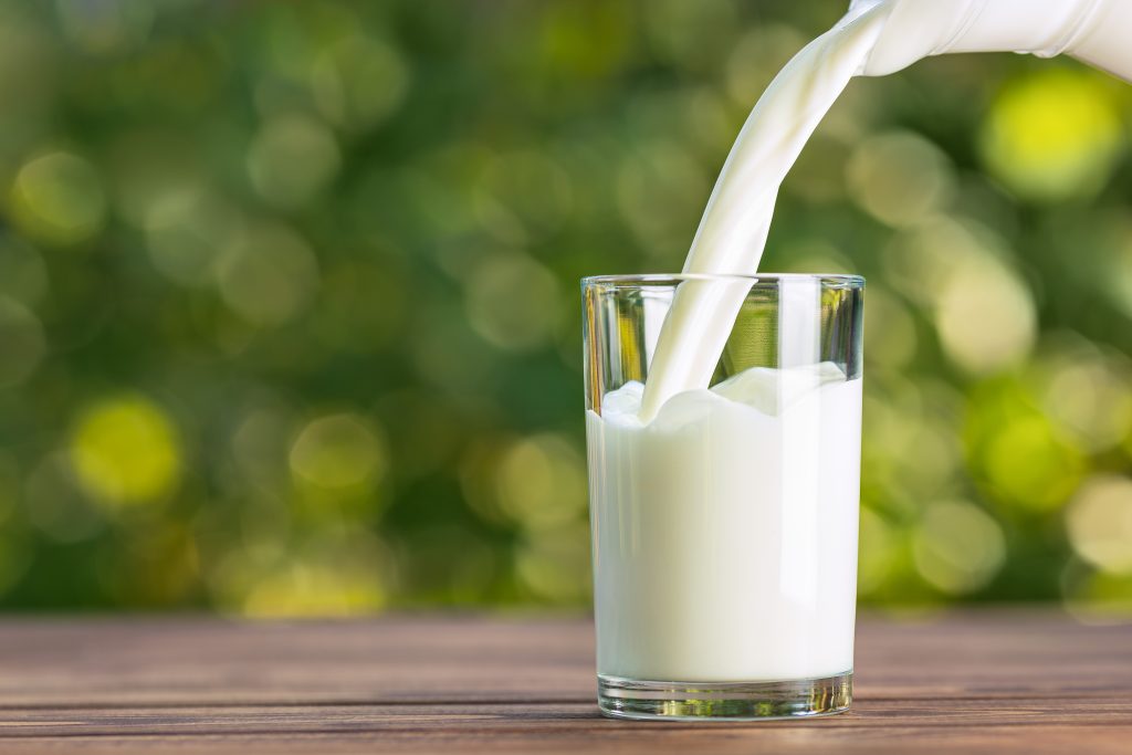 protein in milk