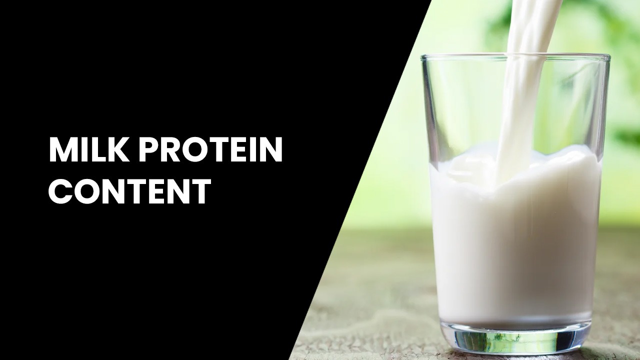Left: bold 'MILK PROTEIN CONTENT' on black background; right: milk is poured into a glass against a green blurred backdrop, separated by a diagonal divider.