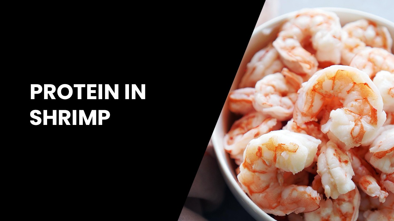 how much protein in shrimp